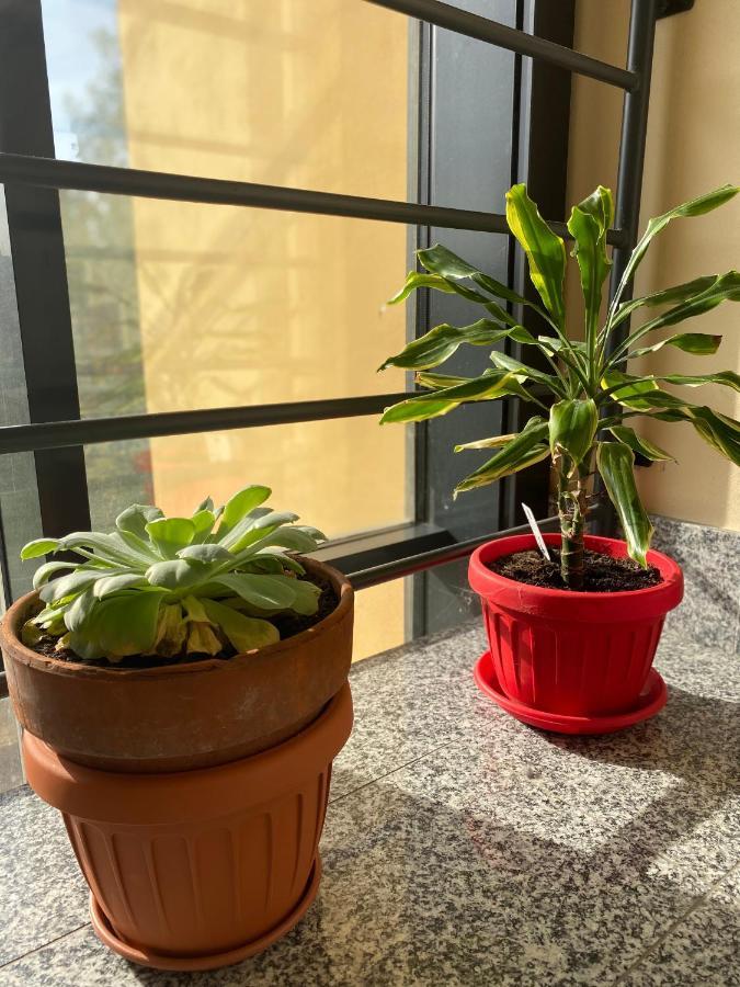 Appartamento Eliana Asti Ngoại thất bức ảnh